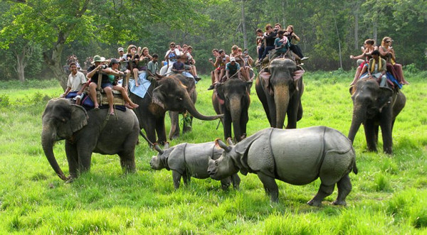 Chitwan Sauraha Tour